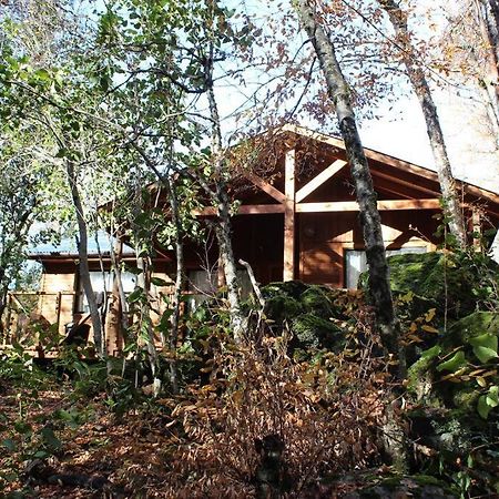 Вилла Cabana Bosque Viejo Лас Транкас Экстерьер фото