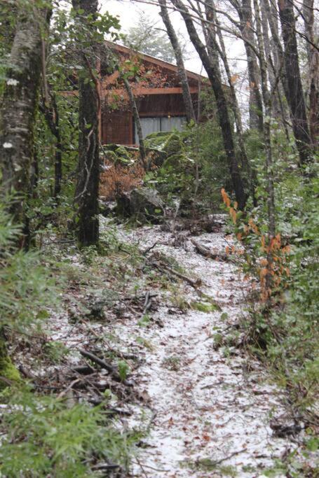 Вилла Cabana Bosque Viejo Лас Транкас Экстерьер фото