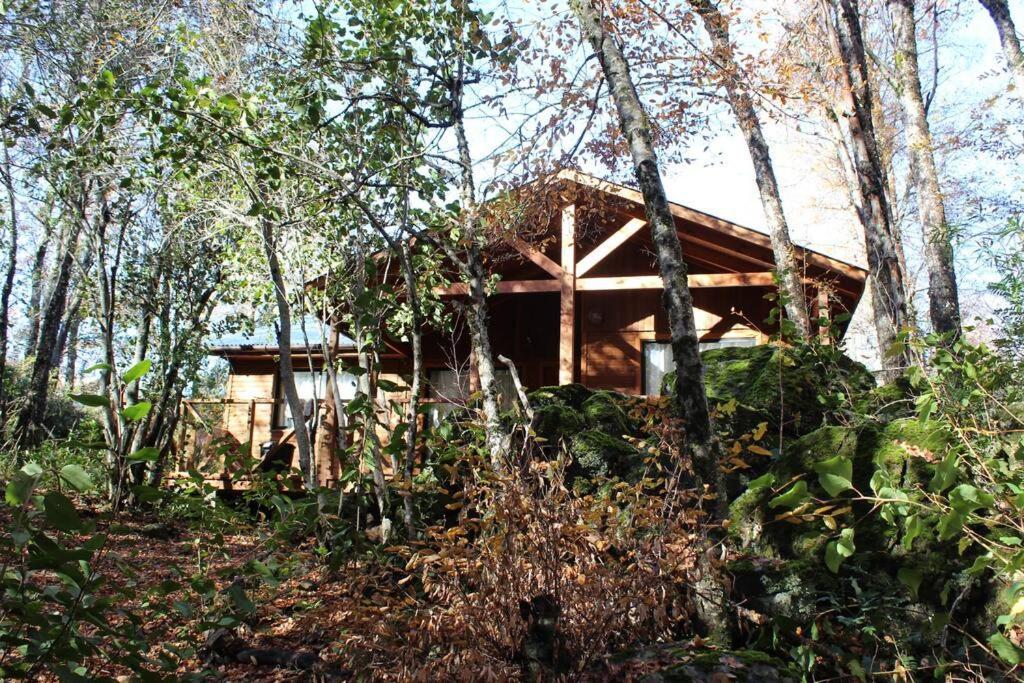 Вилла Cabana Bosque Viejo Лас Транкас Экстерьер фото
